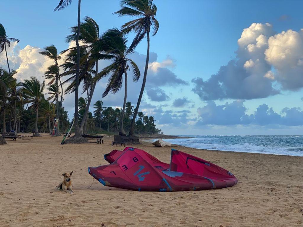 Cabarete Maravilla Eco Lodge Boutique Beach Surf Encuentro, Kite, By Aa Crypto Group Kültér fotó