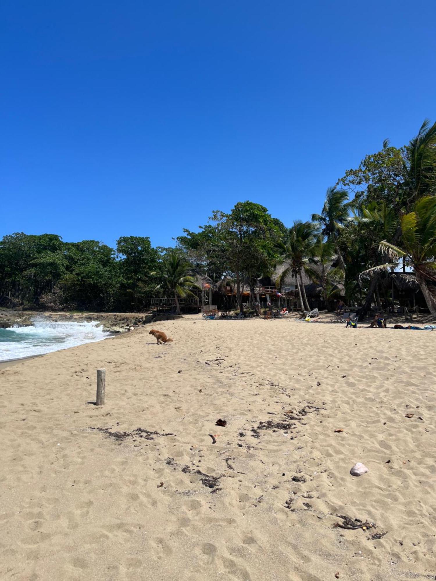 Cabarete Maravilla Eco Lodge Boutique Beach Surf Encuentro, Kite, By Aa Crypto Group Kültér fotó