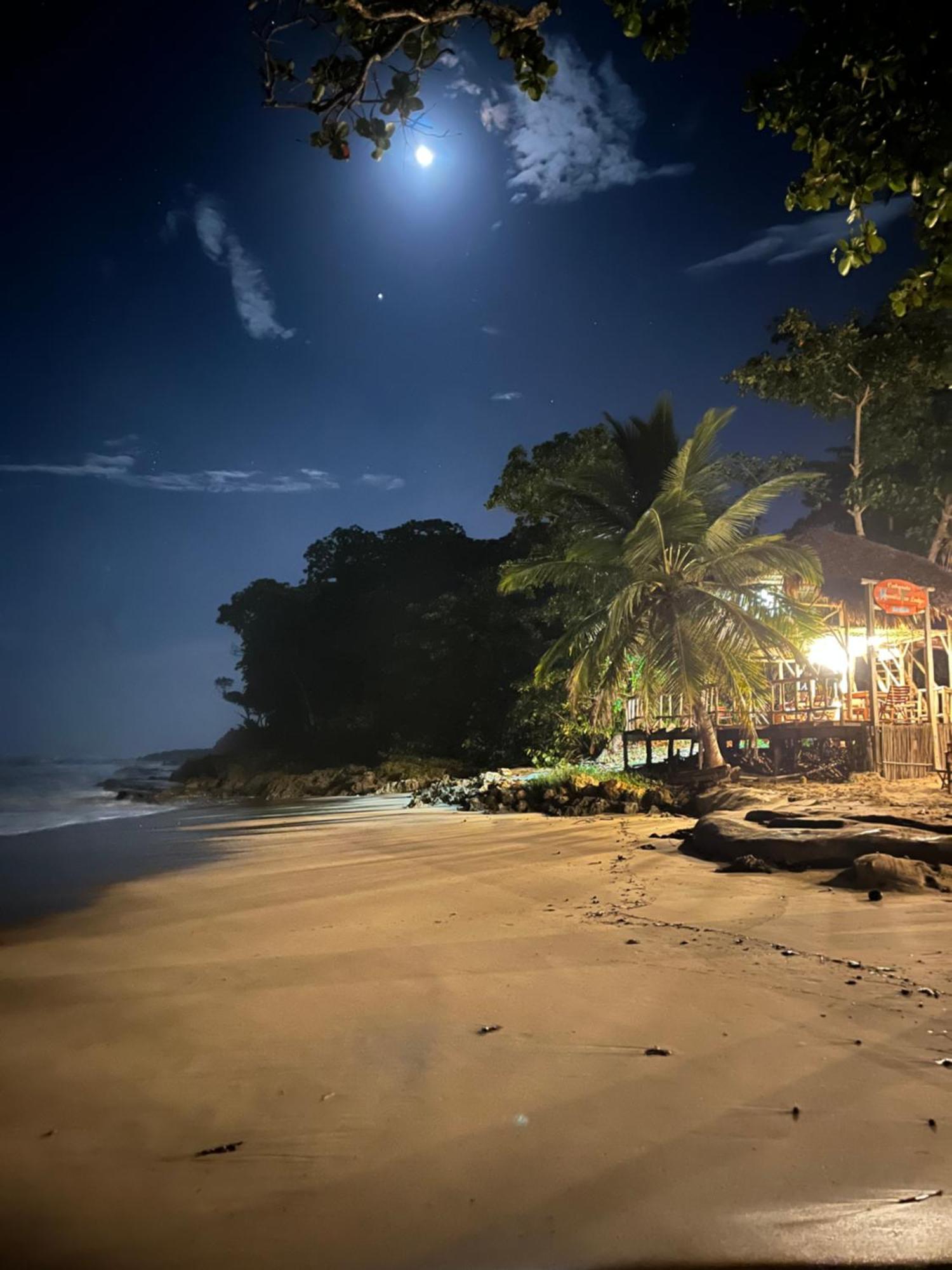 Cabarete Maravilla Eco Lodge Boutique Beach Surf Encuentro, Kite, By Aa Crypto Group Kültér fotó