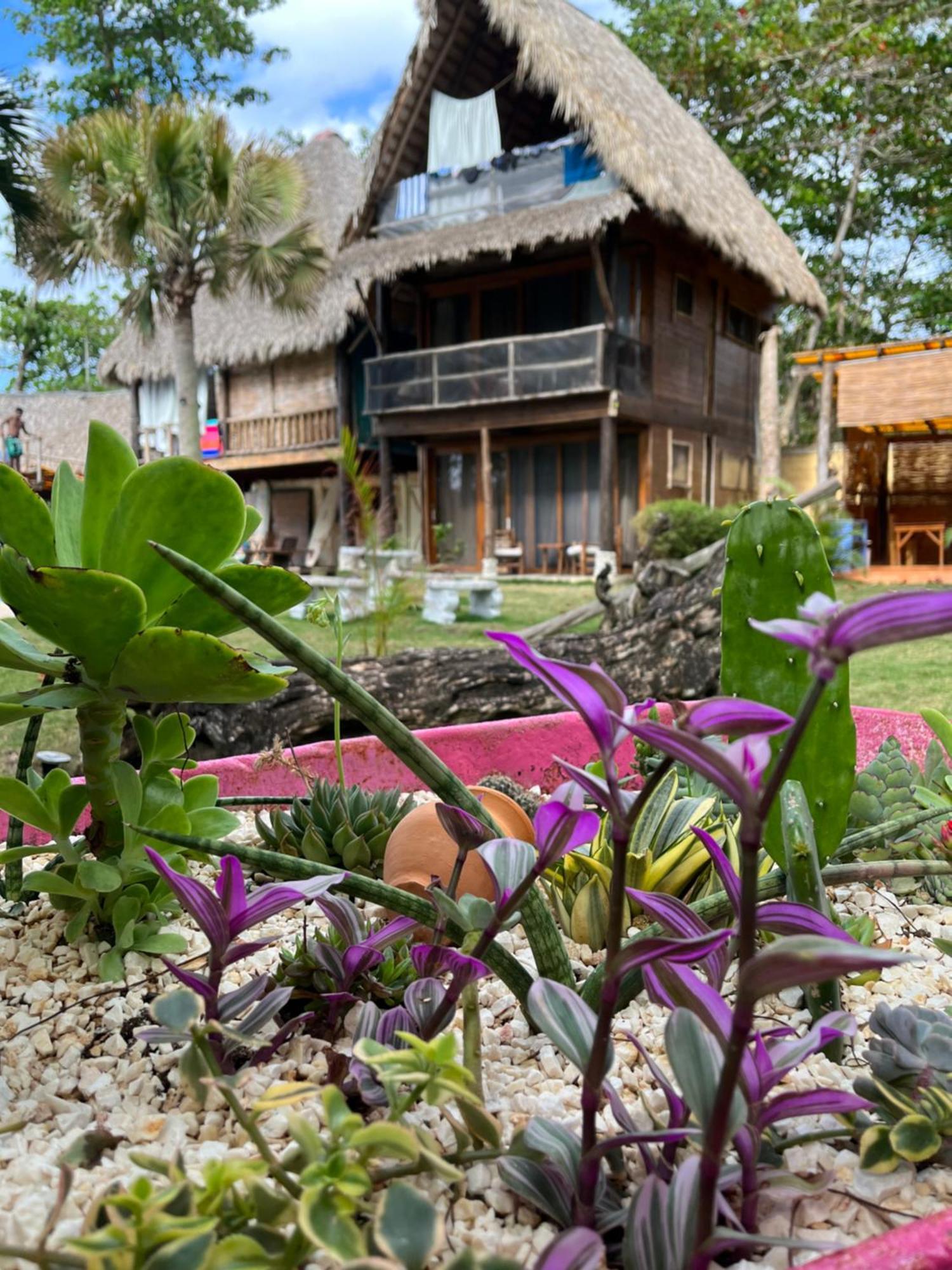 Cabarete Maravilla Eco Lodge Boutique Beach Surf Encuentro, Kite, By Aa Crypto Group Kültér fotó